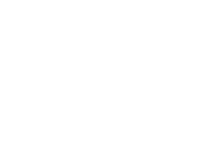 Paper Plane Consulting White logo